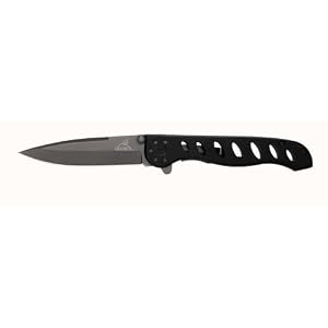 Gerber 22-41433 EVO Titanium-Coated Fine Edge Knife by 