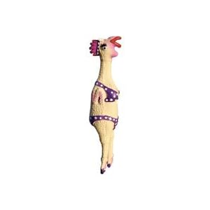 Charming Large Henrietta Chicken
