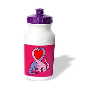 Drawing Conclusions Valentine - Dino Valentine - Water Bottles