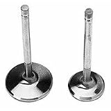 Edelbrock 9641 Cylinder Intake Valve by Edelbrock
