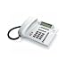 Siemens Euroset 5030, Schnurgebundenes Komfort-Telefon, arktikgrau