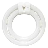 40 Watt Circline T6 in. diameter