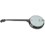 5 String Banjo, 18 brackets, laminated rim
