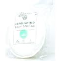 Exfoliating Body Sponge by Earth Therapeutics