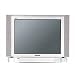 Panasonic TX 29 E 50 D 73,7 cm (29 Zoll) 4:3 100 Hertz Fernseher silber