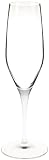 Spiegelau Authentis Collection Flutes, Set of 6