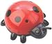 Kitchen & Housewares : 60 Minute Lady Bug Timer