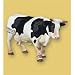 Black And White Standing Cow by Papo