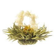 Lady Fairy Teaposies - 6 teaposies per unit., (Teaposy)