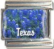 Clearly Charming Texas State Flower Bluebonnet Italian Charm Bracelet Link