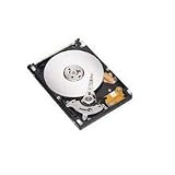 Panasonic - Hard drive - 80 GB - internal