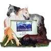 Visit This External Website