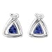 14k White Gold Tanzanite and Diamond Earrings .32 TCW