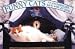 Funny Cats (Gift Card Series)