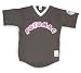 Minor League Baseball Potomac Cannons Adult V Neck Jersey