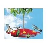 Woodstream Hummingbird W Hummingbird Oasis Feeder Red - 221