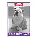 Bulldog (English) 16 x 24 Personalized Name Only Golf Towel - Black/White