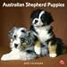 Australian Shepherd Puppies 2010 Wall Calendar