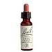 Bach Essence Rock Rose 20 Milliliters