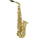 21Zavphx7CL. SL75  Etude EAS 100 Student Alto Saxophone, Lacquer
