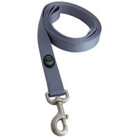 Dog Leash, 1" x 6' Gray