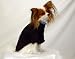 Gooby Handmade Soft Cashmere Dog or Cat Sweater with Black/Green Trim (Indigo, XSmall)