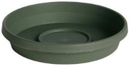 TERRATRAY THYME GREEN12" (Pkg of 10)