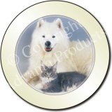 MAINE COON CAT & SAMOYED DOG Tax Disc Holder