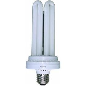 Lights of America 9142B Compact Fluorescent Bulb
