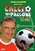 il calcio nel pallone