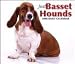 Just Basset Hounds 2008 Desk Calendar - Dog Calendars