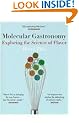 Molecular Gastronomy Exploring the Science of Flavor (Arts & Traditions of the Table: Perspectives on Culinary History): Exploring the Science of ... the Table: Perspectives on Culinary History)