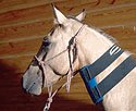 Small Neck Equine Ice Wrap - Elite-Kold