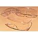Clear Safety Glasses with Side Shields, Each