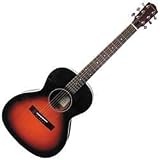 Johnson JG-535-S Solid Top L-Style Acoustic