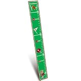 Mississippi Growth Chart Wood