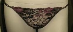 Natori Obsession Panty (152101)