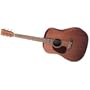 D15 Left Handed Acoustic Guitar