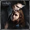 Twilight - 2010 Wall Calendar (Size: 11.5" x 11.5")