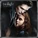 Twilight 16-month Calendar 2010