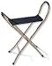 Eze-Rest Portable Folding Seat Cane