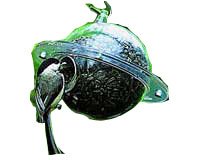 Duncraft Satellite
