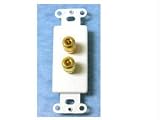 Impact Acoustics Decorative - Modular insert - ivory - 2 ports