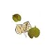 Tisserand Essential Oils Linden Blossom Absolute 2ml