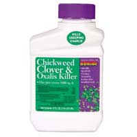 3 Pack of 061 CHICKWEED CLOVER KILLER