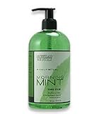 Archipelago Botanicals Morning Mint Hand Wash - 16 oz