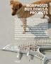 Morphosis: Buildings & Projects Volume V (v. 5)