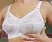 Elila Lace softcup bra