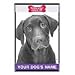 Labrador Retriever (Chocolate) 16 x 24 personalized Name Only Golf Towel - Black/White