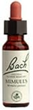 Mimulus 20 ml (Mimulus guttatus) - Bach Flower Essences